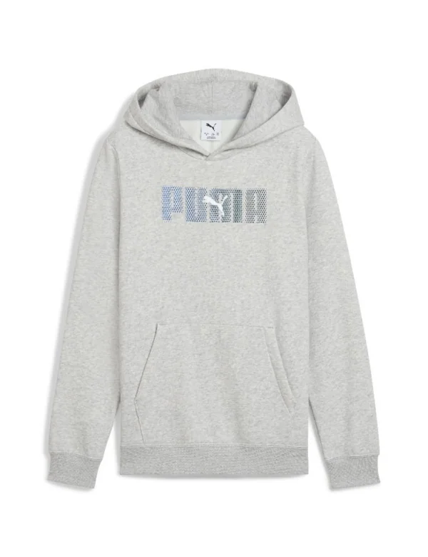 ESS LOGO LAB Hoodie FL B AW25
