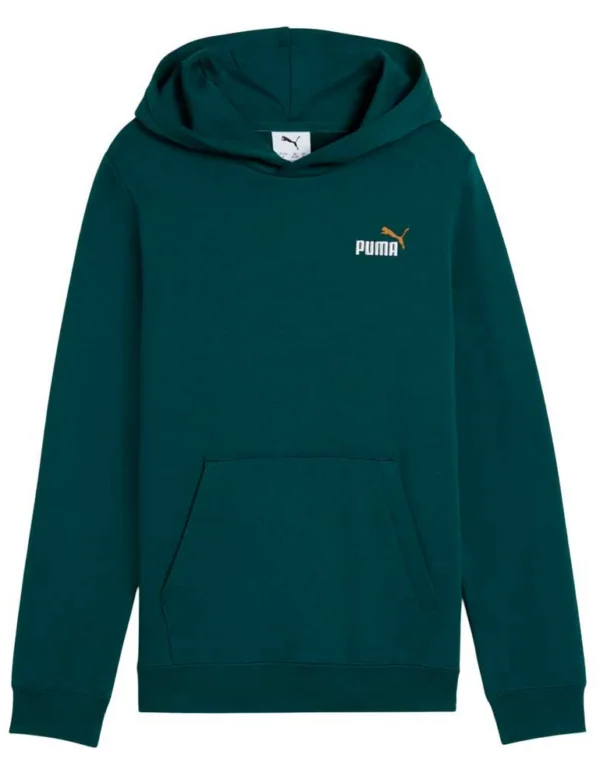 SUDADERA ESS 2 COLOR Small No. 1 Logo Hoodie FL B AW25